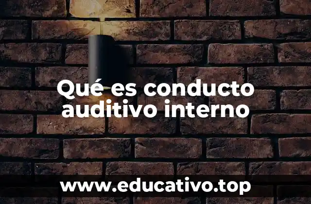 Qué es conducto auditivo interno