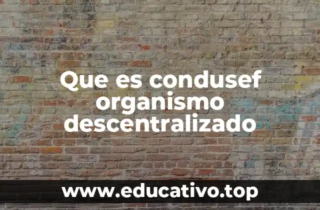 Que es condusef organismo descentralizado