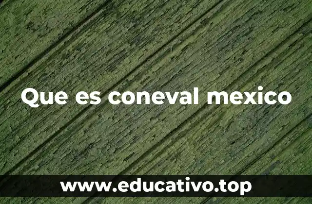 Que es coneval mexico