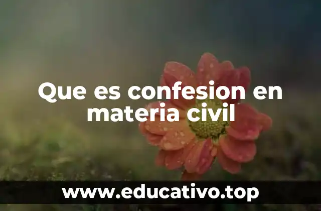 Que es confesion en materia civil
