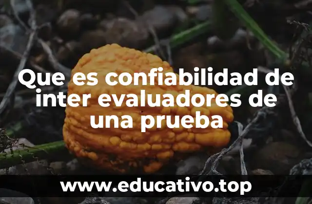 Que es confiabilidad de inter evaluadores de una prueba