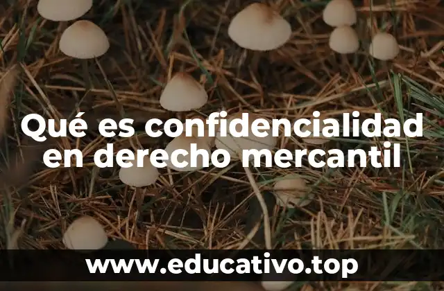 Qué es confidencialidad en derecho mercantil