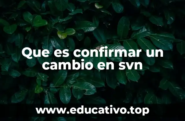 Que es confirmar un cambio en svn