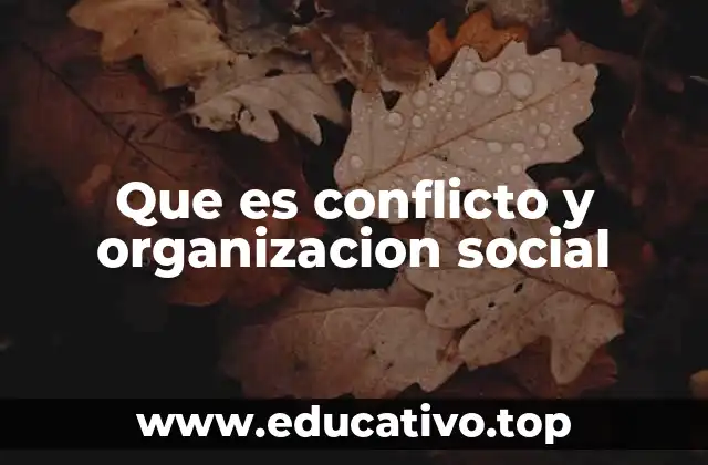 Que es conflicto y organizacion social