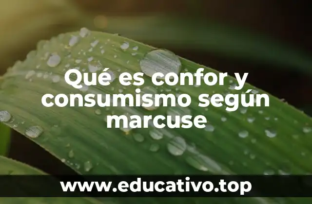 Qué es confor y consumismo según marcuse