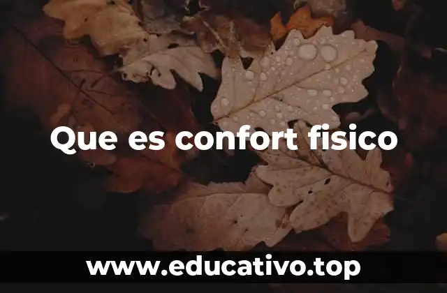 Que es confort fisico
