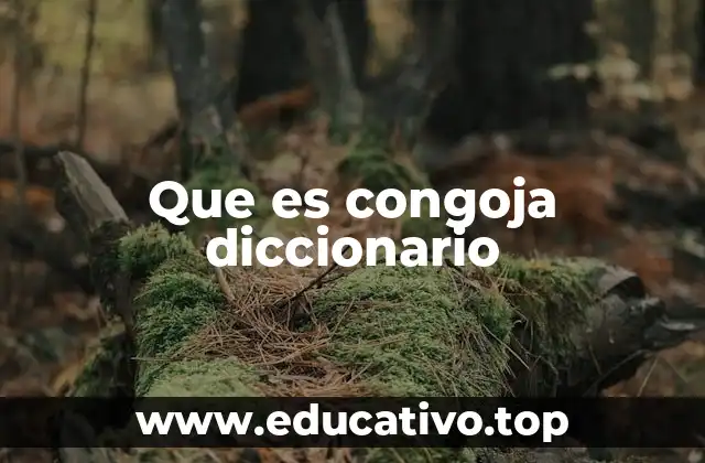 Que es congoja diccionario