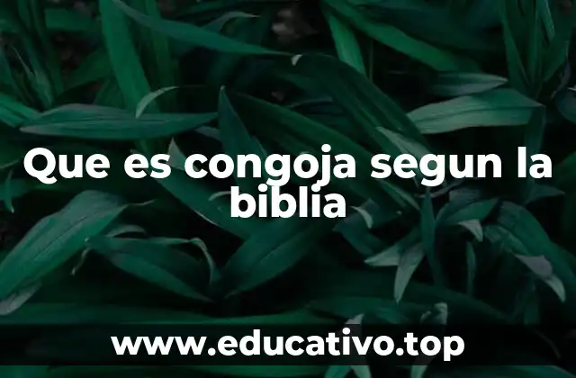 Que es congoja segun la biblia