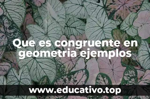 Que es congruente en geometria ejemplos