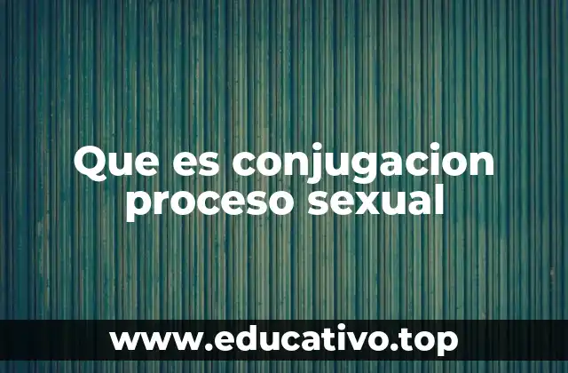 Que es conjugacion proceso sexual