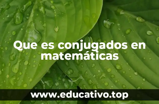Que es conjugados en matemáticas