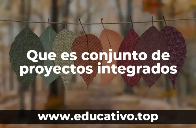 Que es conjunto de proyectos integrados