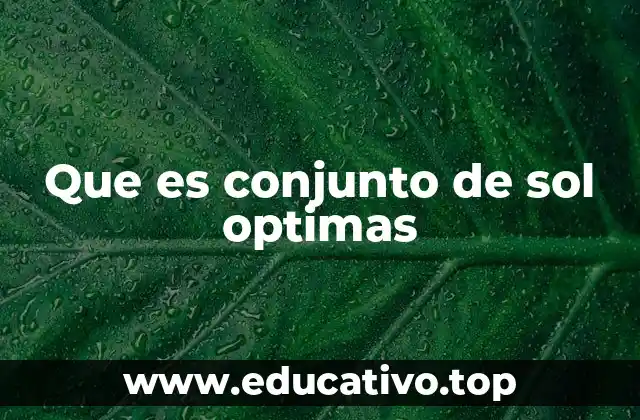 Que es conjunto de sol optimas