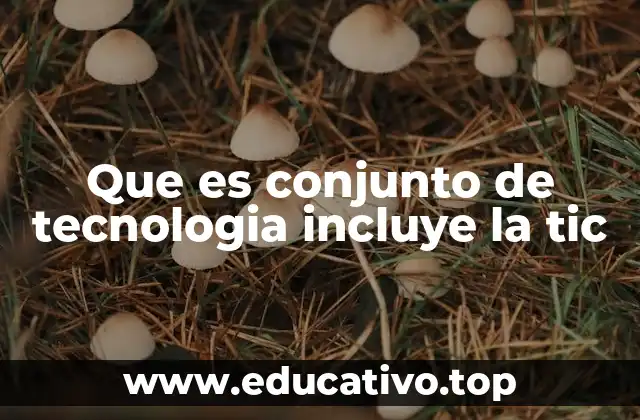 Que es conjunto de tecnologia incluye la tic