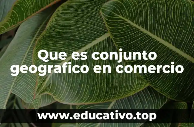 Que es conjunto geografico en comercio