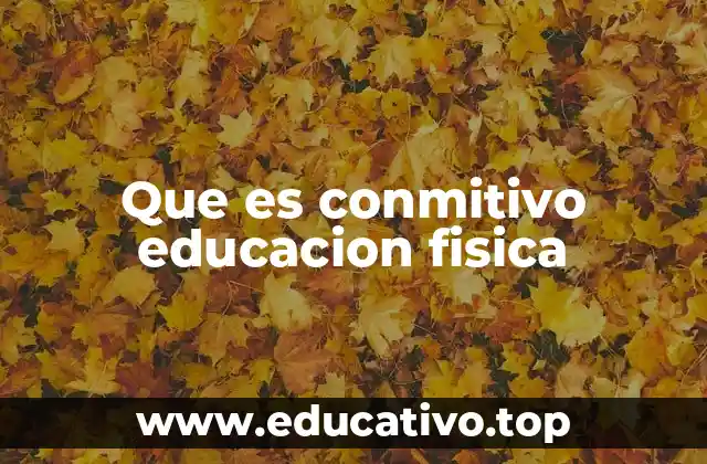 Que es conmitivo educacion fisica