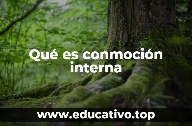 Qué es conmoción interna