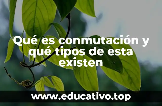 Qué es conmutación y qué tipos de esta existen