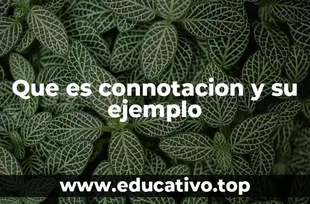 Que es connotacion y su ejemplo