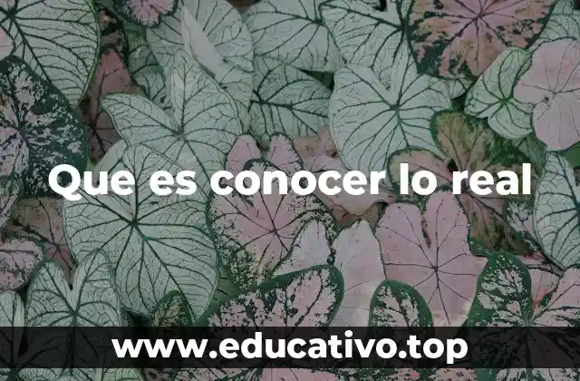 Que es conocer lo real