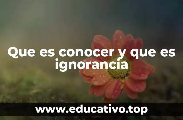 Que es conocer y que es ignorancia