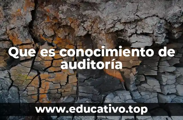 Que es conocimiento de auditoría