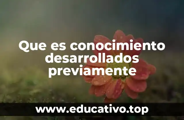 Que es conocimiento desarrollados previamente