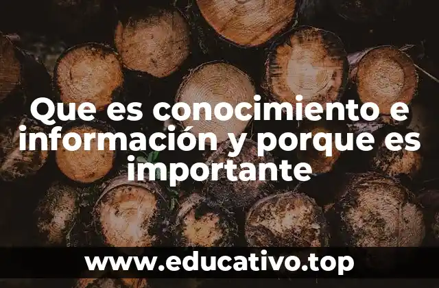 Que es conocimiento e información y porque es importante