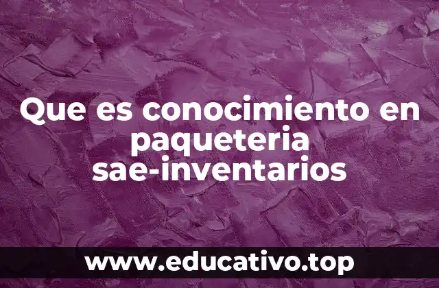 Que es conocimiento en paqueteria sae-inventarios