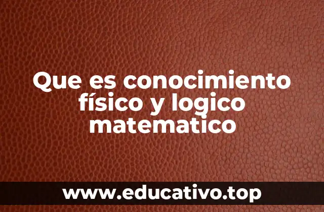 Que es conocimiento físico y logico matematico