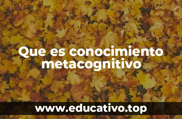 Que es conocimiento metacognitivo