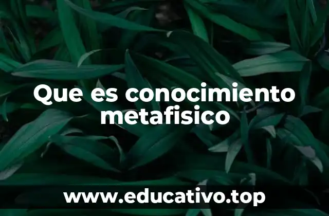 Que es conocimiento metafisico
