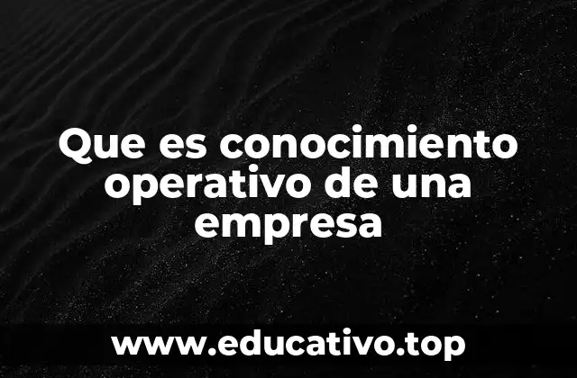 Que es conocimiento operativo de una empresa