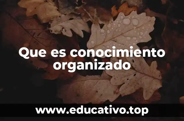 Que es conocimiento organizado
