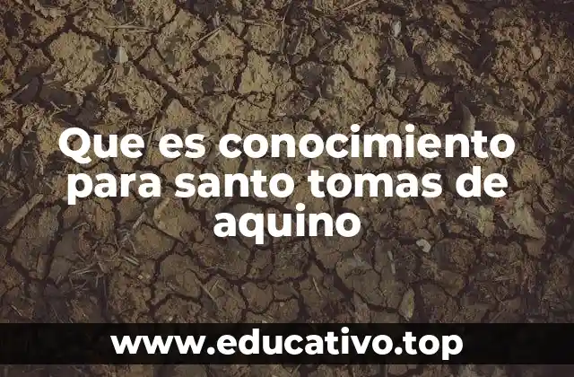 La relación entre conocimiento, inteligencia y verdad en la filosofía de Santo Tomás