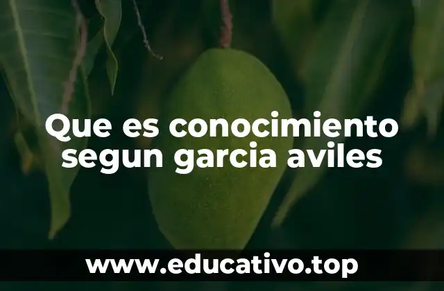 Que es conocimiento segun garcia aviles