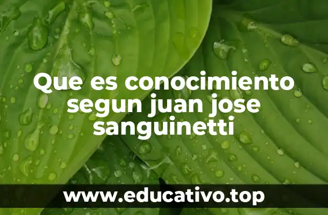 Que es conocimiento segun juan jose sanguinetti