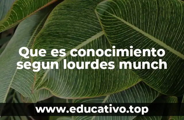 Que es conocimiento segun lourdes munch