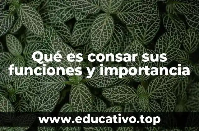 Qué es consar sus funciones y importancia