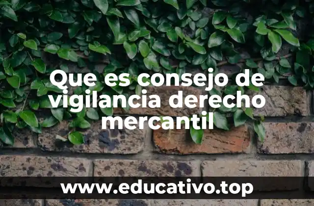 Que es consejo de vigilancia derecho mercantil