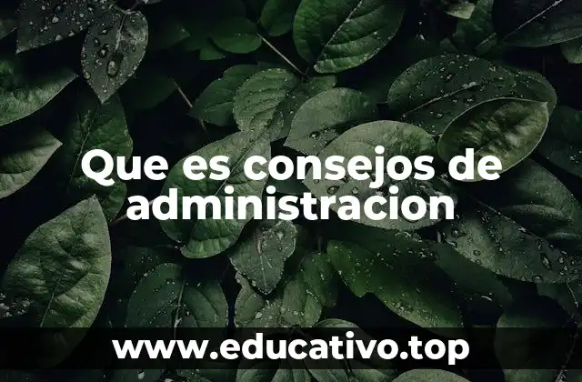 Que es consejos de administracion