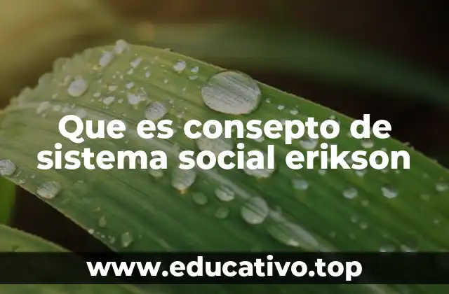 Que es consepto de sistema social erikson
