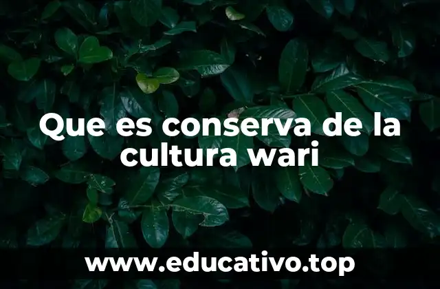 La importancia de preservar el patrimonio wari en el Perú