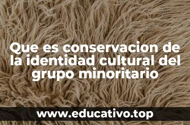 Que es conservacion de la identidad cultural del grupo minoritario