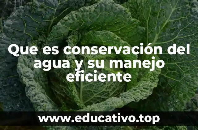 Que es conservación del agua y su manejo eficiente