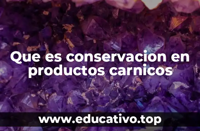 Que es conservacion en productos carnicos