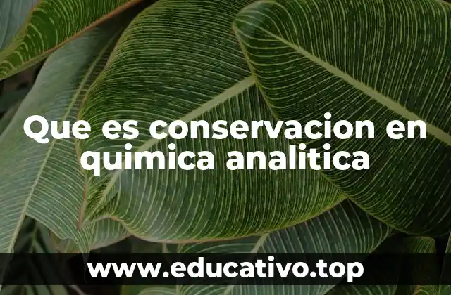La importancia de los principios de conservación en la medición analítica
