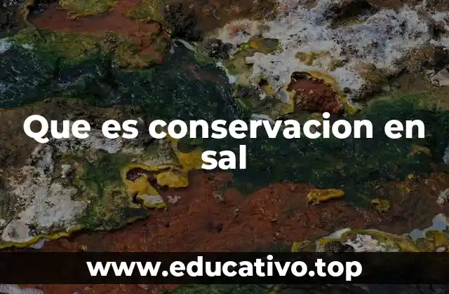 Que es conservacion en sal