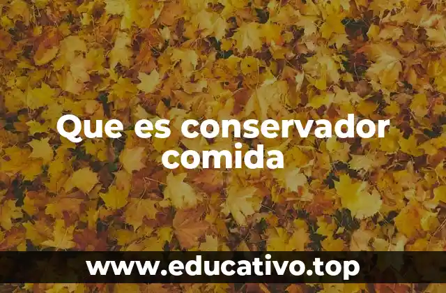 Que es conservador comida
