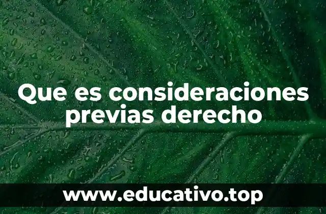 Que es consideraciones previas derecho